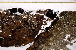Plane Polarized, E27754