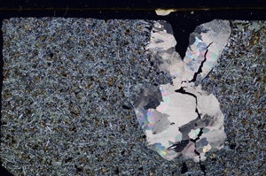 Cross Polarized, E27757