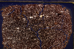 Cross Polarized, E27772