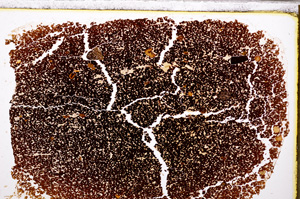 Plane Polarized, E27772