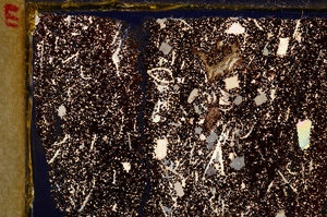 Cross Polarized, E27773