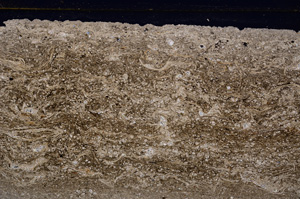 Cross Polarized, E27781