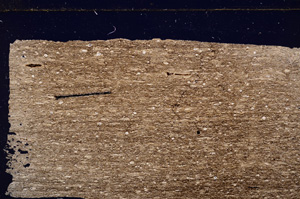 Cross Polarized, E27782