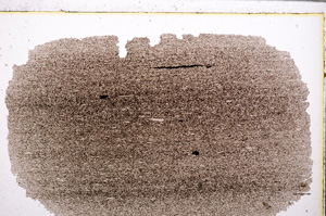 Plane Polarized, E27783