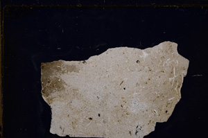 Cross Polarized, E27789