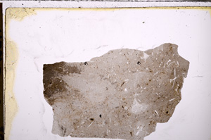 Plane Polarized, E27789