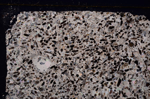 Cross Polarized, E27795