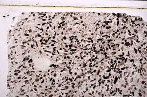 Plane Polarized, E27795