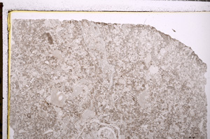 Plane Polarized, E27797