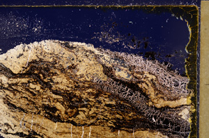 Cross Polarized, E27802
