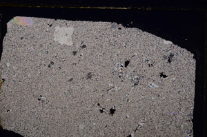 Cross Polarized, E27805