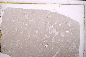 Plane Polarized, E27805