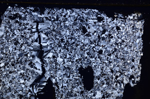 Cross Polarized, E27875