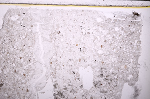 Plane Polarized, E27875