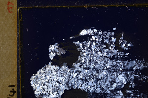 Cross Polarized, E27876