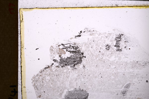 Plane Polarized, E27876