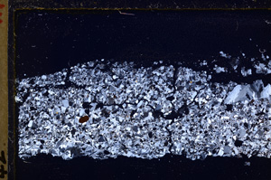 Cross Polarized, E27877