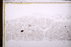 Plane Polarized, E27877