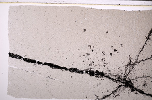 Plane Polarized, E27883