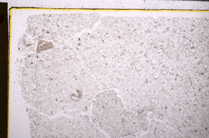 Plane Polarized, E27886