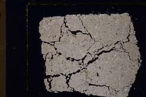 Cross Polarized, E27888
