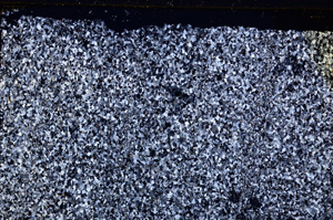 Cross Polarized, E27890