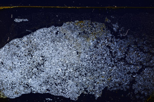 Cross Polarized, E27894