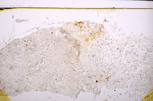 Plane Polarized, E27894