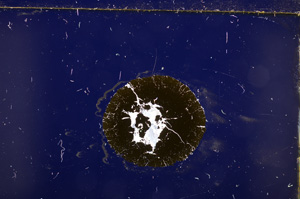 Cross Polarized, E27931