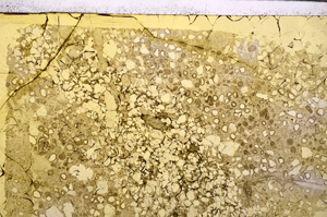Plane Polarized, E27973