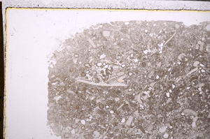 Plane Polarized, E27977