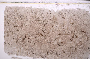 Plane Polarized, E27997