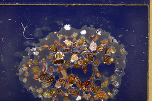 Cross Polarized, E28021