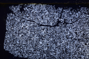 Cross Polarized, E28031