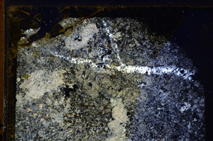 Cross Polarized, E28032