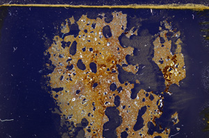 Cross Polarized, E28081