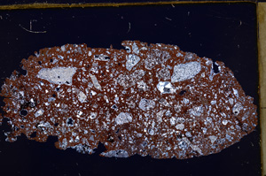 Cross Polarized, E28089