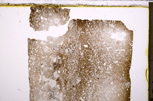 Plane Polarized, E28091