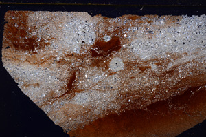 Cross Polarized, E28106
