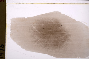 Plane Polarized, E28154