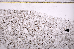 Plane Polarized, E28186