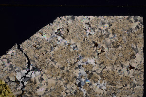 Cross Polarized, E28207