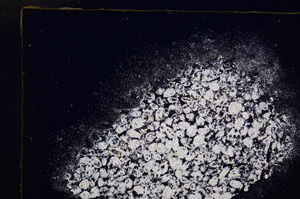 Cross Polarized, E28211