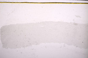 Plane Polarized, E28216