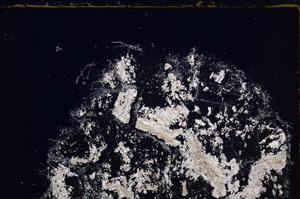 Cross Polarized, E28217