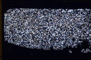 Cross Polarized, E28221