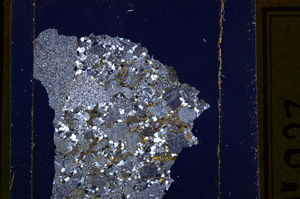 Cross Polarized, E28383