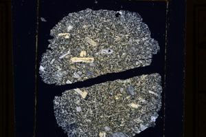 Cross Polarized, E28390