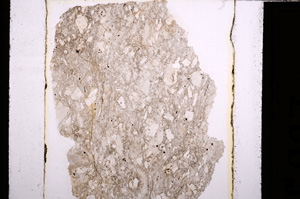 Plane Polarized, E28399