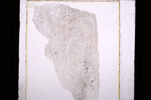 Plane Polarized, E28402